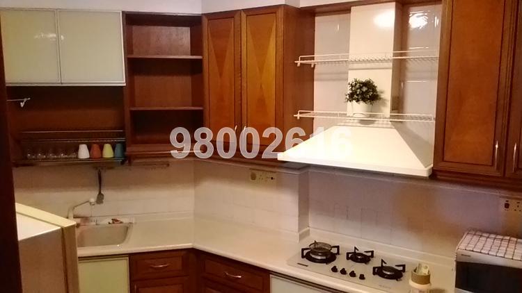 Dover Parkview (D5), Condominium #100098502